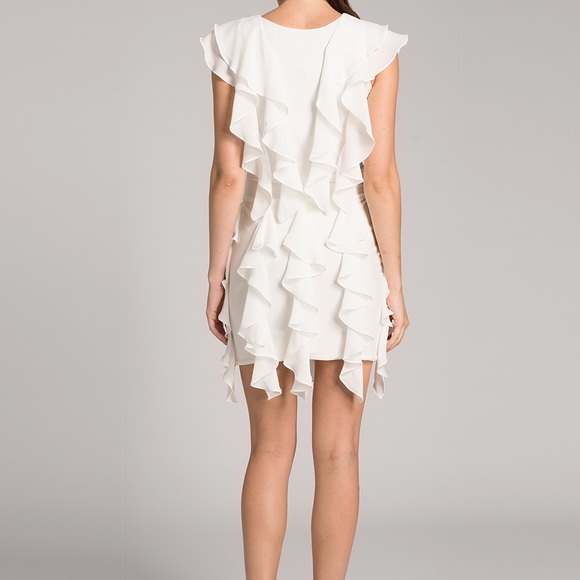 NWT Julian Chang Designer Aleluyah Dress - Picture 4 of 4